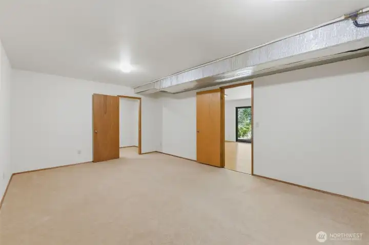 Lower level bonus room & storage