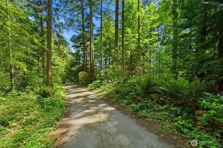 Private driveway