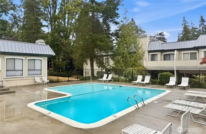 Community Pool Community Pool