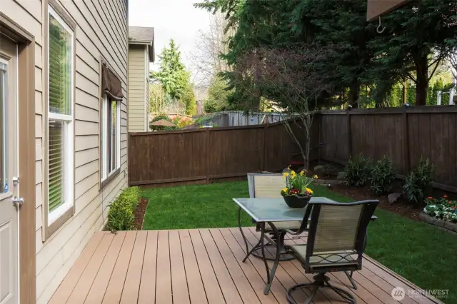 Back Deck