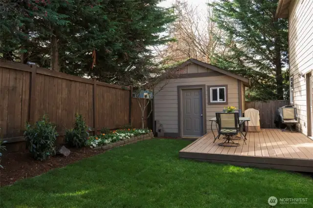 Backyard
