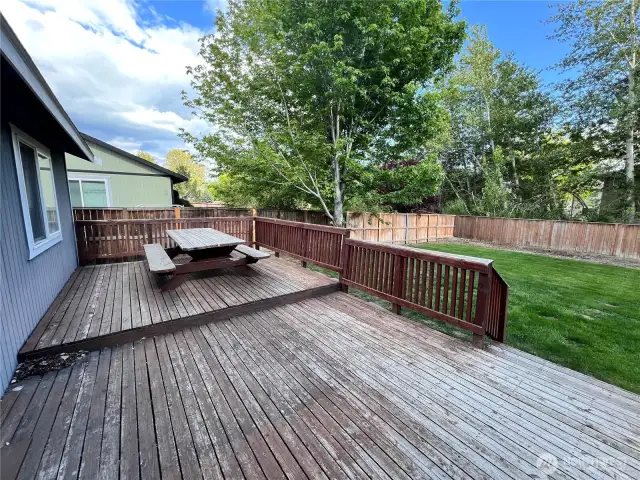 Deck/Backyard