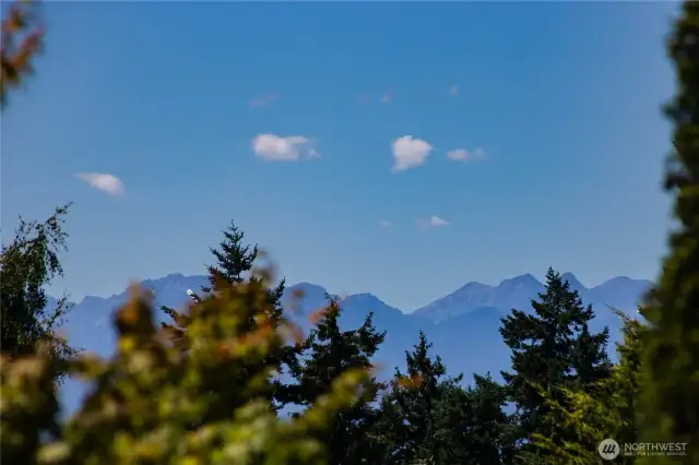 Mountain view from the front yard.