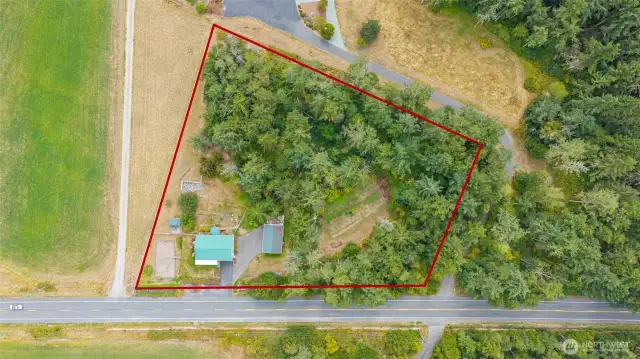Property lines.