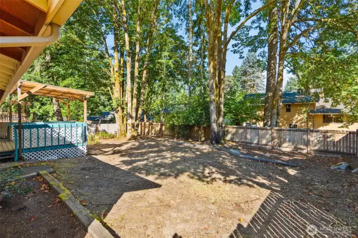 Another view of the amazing back yard!