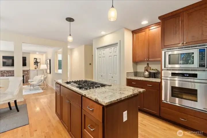 Chef's Dream Kitchen