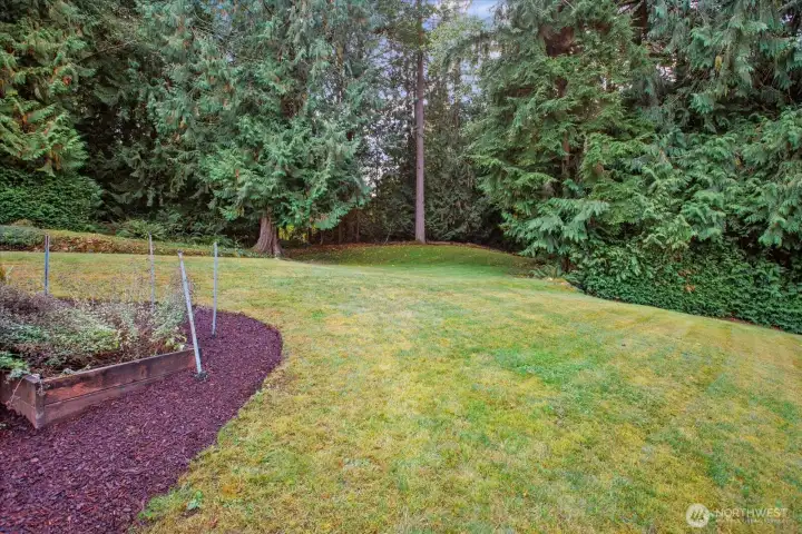 Invisible Fence Installed