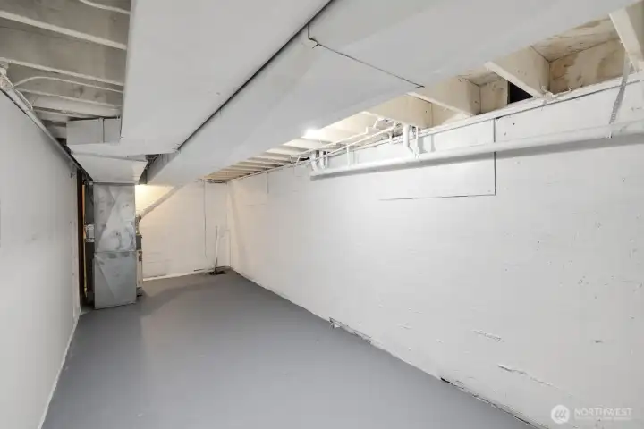 Downstairs storage space!
