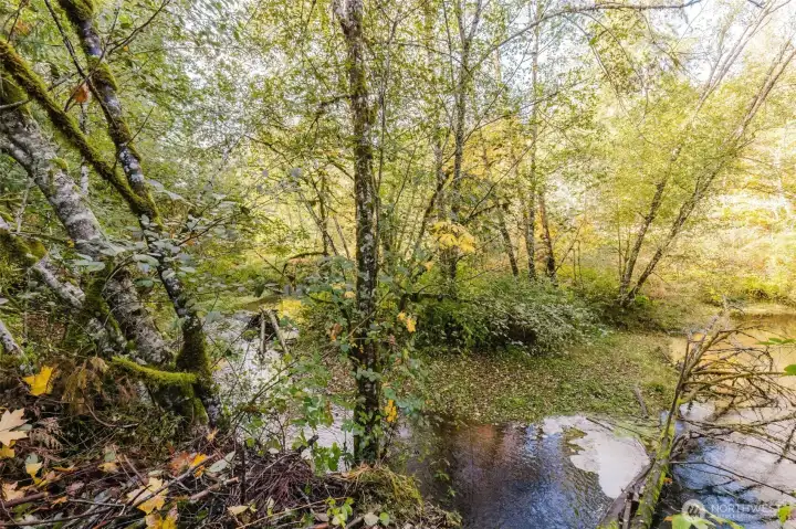 Inject your life with peace whenever you want here