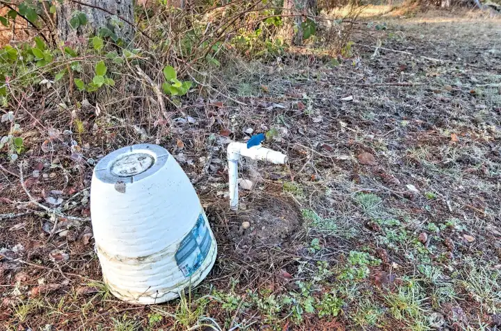 There is a sprinkler system installed throughout the property. You will see several spigots around the perimeter.