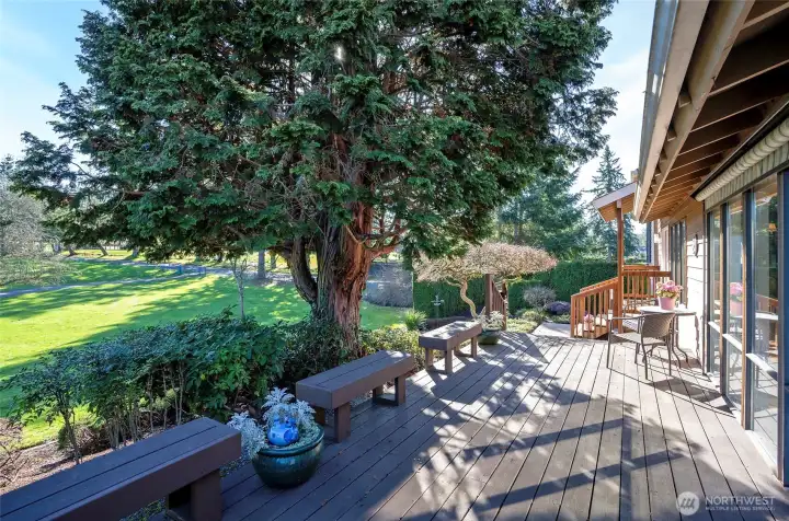 View of golf course from deck