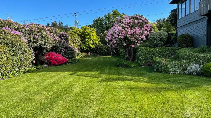 Some of the mature planting with beautiful Spring blooms! This is a fabulous yard! Very private from the street!