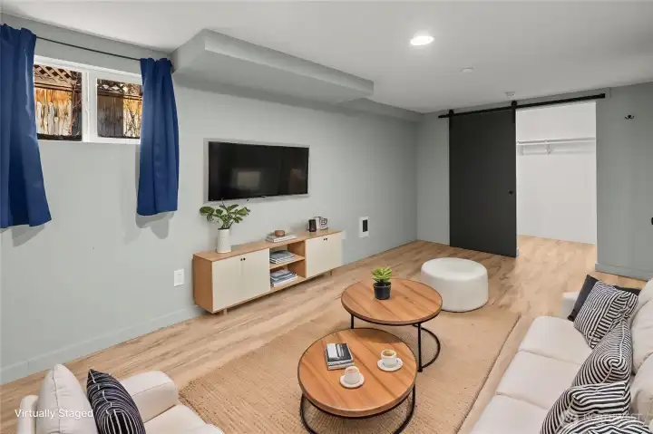 Downstairs flex room