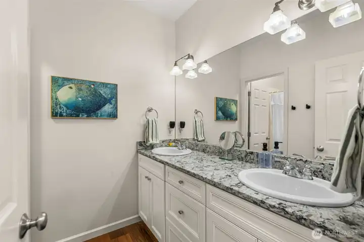 Guest bathroom