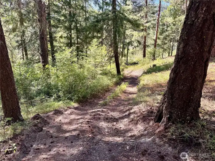 Further down the trail.