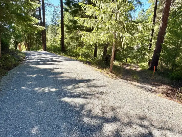 This view is of the southeast corner of the property. The sxs trail to the right takes you to the riverfront.  Follows the property line.