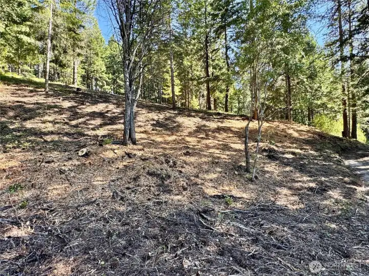 Looking up to the build site from the trail.