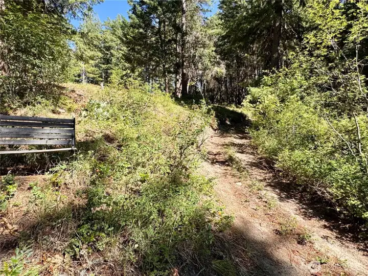 Where the two access trails meet.