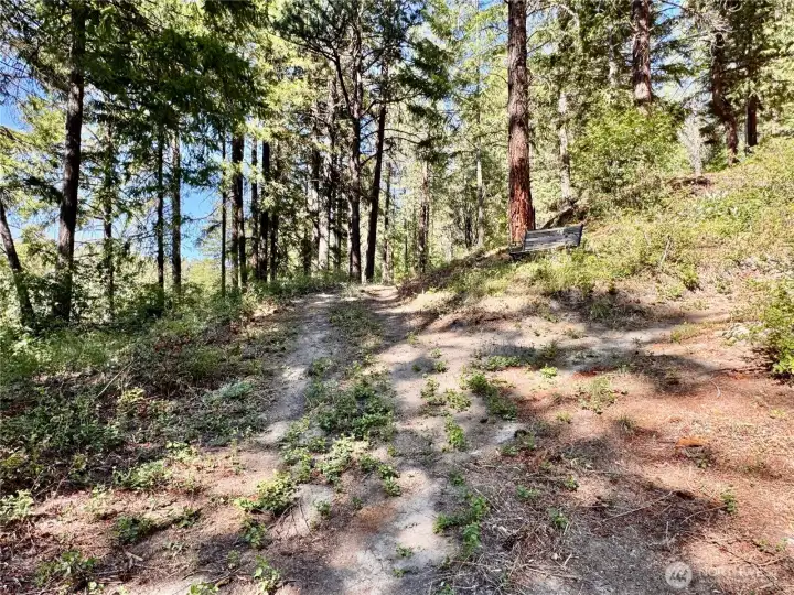Enjoy easy access to the river along a scenic trail bordered by mature forest.