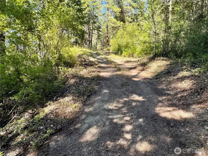 Private trail winds through the evergreens and leads directly to the riverfront.