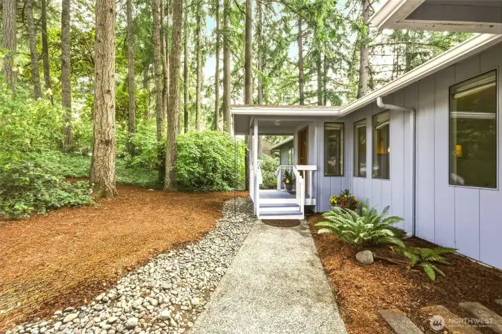 One thing you'll notice throughout this property is how naturally the home fits into its surroundings. Towering evergreens, lush native landscaping and river rock accents create the feeling of being tucked into the forest while still enjoying all the conveniences of town. The covered front porch is welcoming, offering just enough space for a seat or colorful planters. Look closely and you'll spot the portrait-style windows, a classic mid-century nod that gives this Northwest Contemporary so much of its personality. Even the decorative rain chains add a thoughtful Pacific Northwest touch while directing rainwater into the stream of rocks below. Standing here, it's easy to forget you're in the middle of Lacey. Towering evergreens and layers of native greenery create the feeling of living in the forest. One thing you'll notice throughout this property is how naturally the home fits into its surroundings. Towering evergreens, lush native landscaping and river rock accents create the feeling of being tucked into the forest while still enjoying all the conveniences of town. The covered front porch is welcoming, offering just enough space for a seat or colorful planters. Look closely and you'll spot the portrait-style windows, a classic mid-century nod that gives this Northwest Contemporary so much of its personality. Even the decorative rain chains add a thoughtful Pacific Northwest touch while directing rainwater into the stream of rocks below. Standing here, it's easy to forget you're in the middle of Lacey. Towering evergreens and layers of native greenery create the feeling of living in the forest.