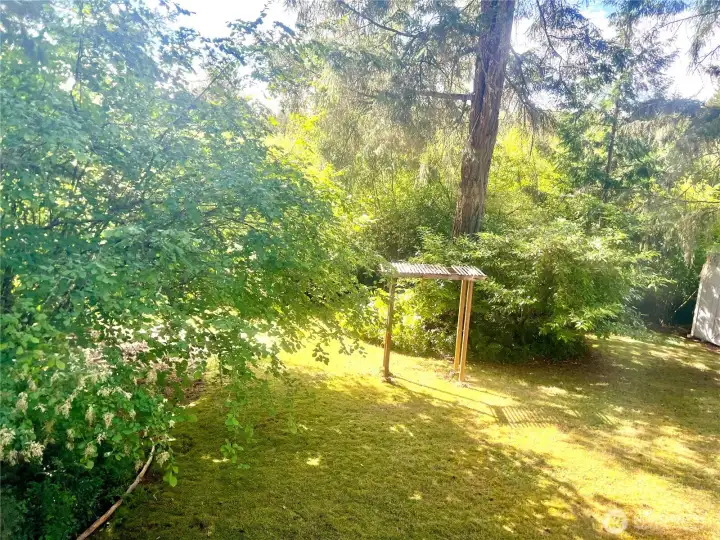 Here's the view from the flexible office, den or possible 4th BR, and it's easy to see why this room is such a standout. Instead of looking into a neighboring fence, you'll enjoy peaceful backyard greenery that creates a calming backdrop for whatever comes next. Today it might be the perfect work-from-home office. Tomorrow it could become a nursery, guest room, playroom, reading room or hobby space. One of my favorite things about this floor plan is that it grows right along with you instead of asking you to move when life changes. Here's the view from the flexible office, den or possible 4th BR, and it's easy to see why this room is such a standout. Instead of looking into a neighboring fence, you'll enjoy peaceful backyard greenery that creates a calming backdrop for whatever comes next. Today it might be the perfect work-from-home office. Tomorrow it could become a nursery, guest room, playroom, reading room or hobby space. One of my favorite things about this floor plan is that it grows right along with you instead of asking you to move when life changes.