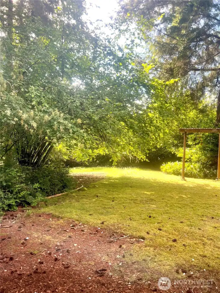 Can we take a moment to appreciate that even the downstairs bedrooms look out to trees instead of window wells? The charming arbor draws your eye toward the sunny clearing beyond, while mature evergreens create a peaceful backdrop that changes with the seasons. Open the window and let the afternoon breeze drift through while keeping an eye out for the resident rabbits, deer and the occasional barn owl making its rounds. With a western exposure, this part of the backyard enjoys beautiful afternoon and evening sunshine, making it one of the brightest corners of the property. Can we take a moment to appreciate that even the downstairs bedrooms look out to trees instead of window wells? The charming arbor draws your eye toward the sunny clearing beyond, while mature evergreens create a peaceful backdrop that changes with the seasons. Open the window and let the afternoon breeze drift through while keeping an eye out for the resident rabbits, deer and the occasional barn owl making its rounds. With a western exposure, this part of the backyard enjoys beautiful afternoon and evening sunshine, making it one of the brightest corners of the property.