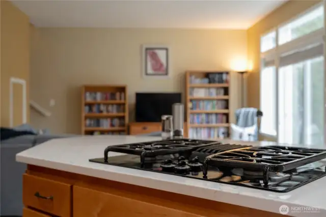 Gas Cook Top