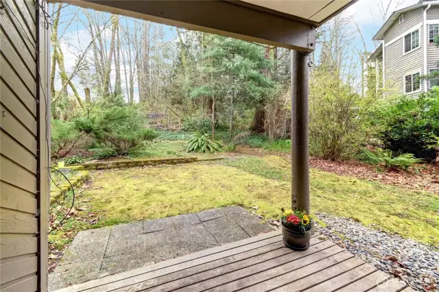 Looking out the slider to the private green belt backyard
