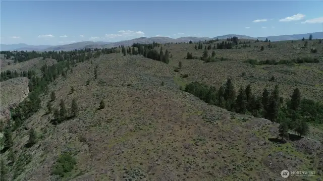 Rolling hills and partially treed county side.