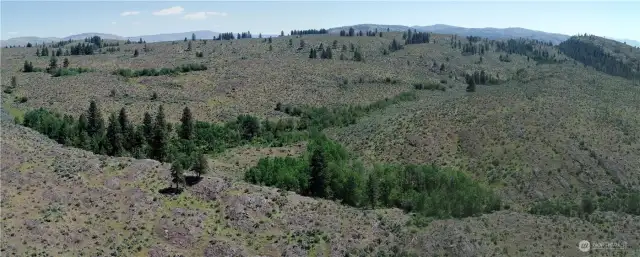 So many options for this spectacular piece of land.