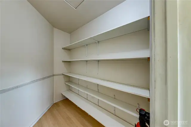 Plenty of storage in this pantry for food, cookbooks and small appliances.