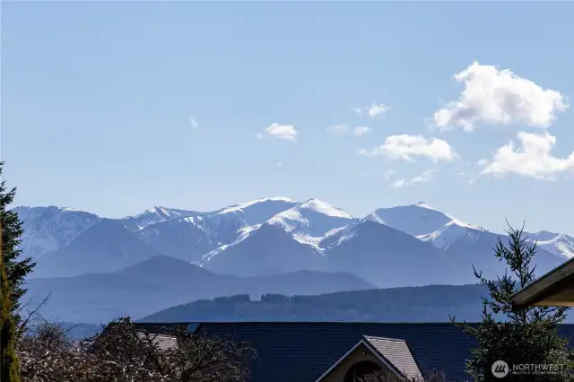 The outstanding mountain view!