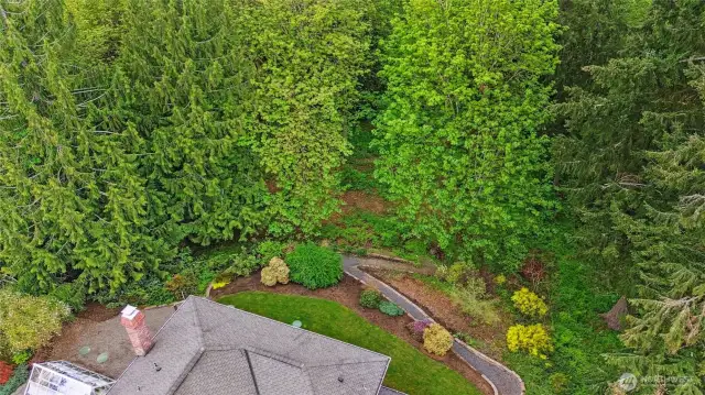 Very private, treed backyard.