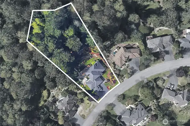 Photo showing the large lot.