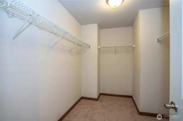 Spacious walk-in closet completes the primary suite.