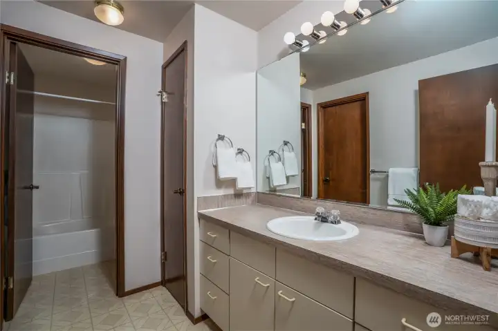 Lower-level bathroom