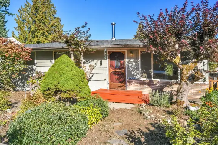 A sweet rambler with lovely gardens.