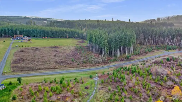 Aerial of entire property with trees