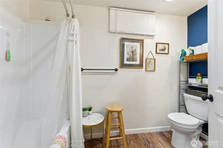 Basement Bathroom