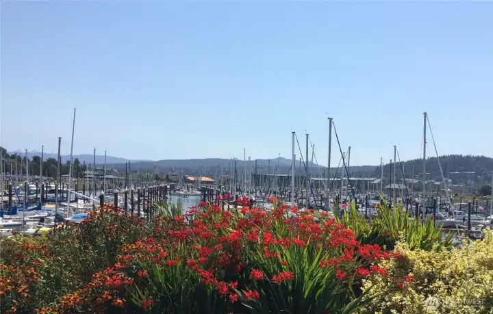 Or continue on to the marina for incredible views and additional options