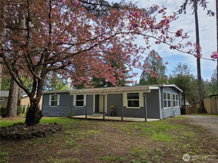 Large covered front porch entry, metal roof & long paved driveway.