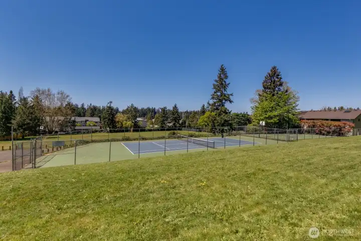 Sports court.