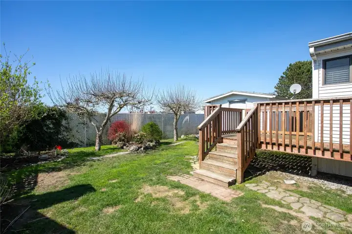 Nice fully fenced yard w/fruit trees & storage shed