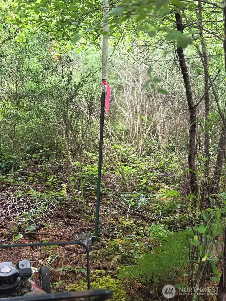 This is property line behind Flagged Tree by Fence & Shared Well. This is property line behind Flagged Tree by Fence & Shared Well.