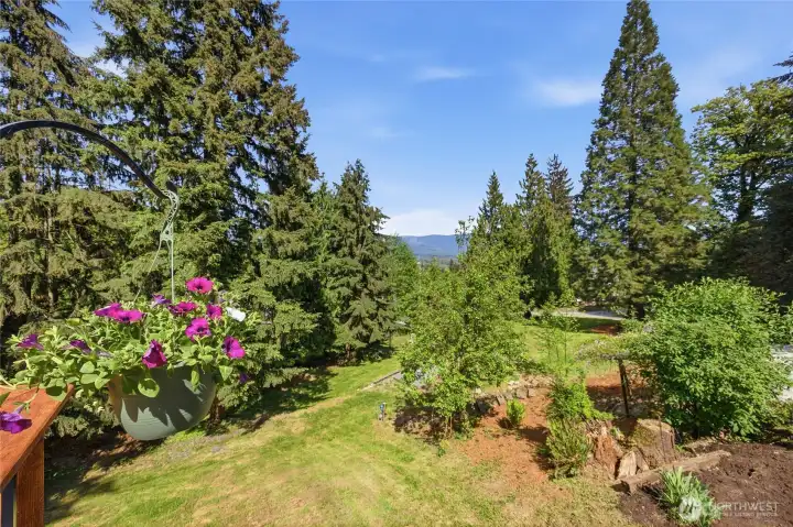 View from the deck, living room and kitchen.
