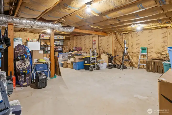 Unfinished Basement