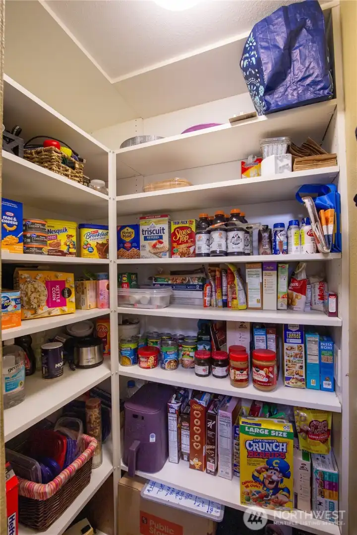 Look at all this wonderful storage space in this walk-m pantry, room for all your Costco shopping desires.