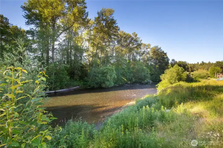 Here is a closer view of the Green River and lush green trees with wild grass and flowers that create the pleasant backdrop from the covered patio and both both bedrooms.  This is a protected wildlife buffer.