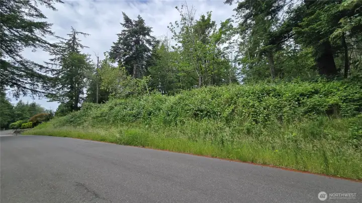 This area is where you would build a house.